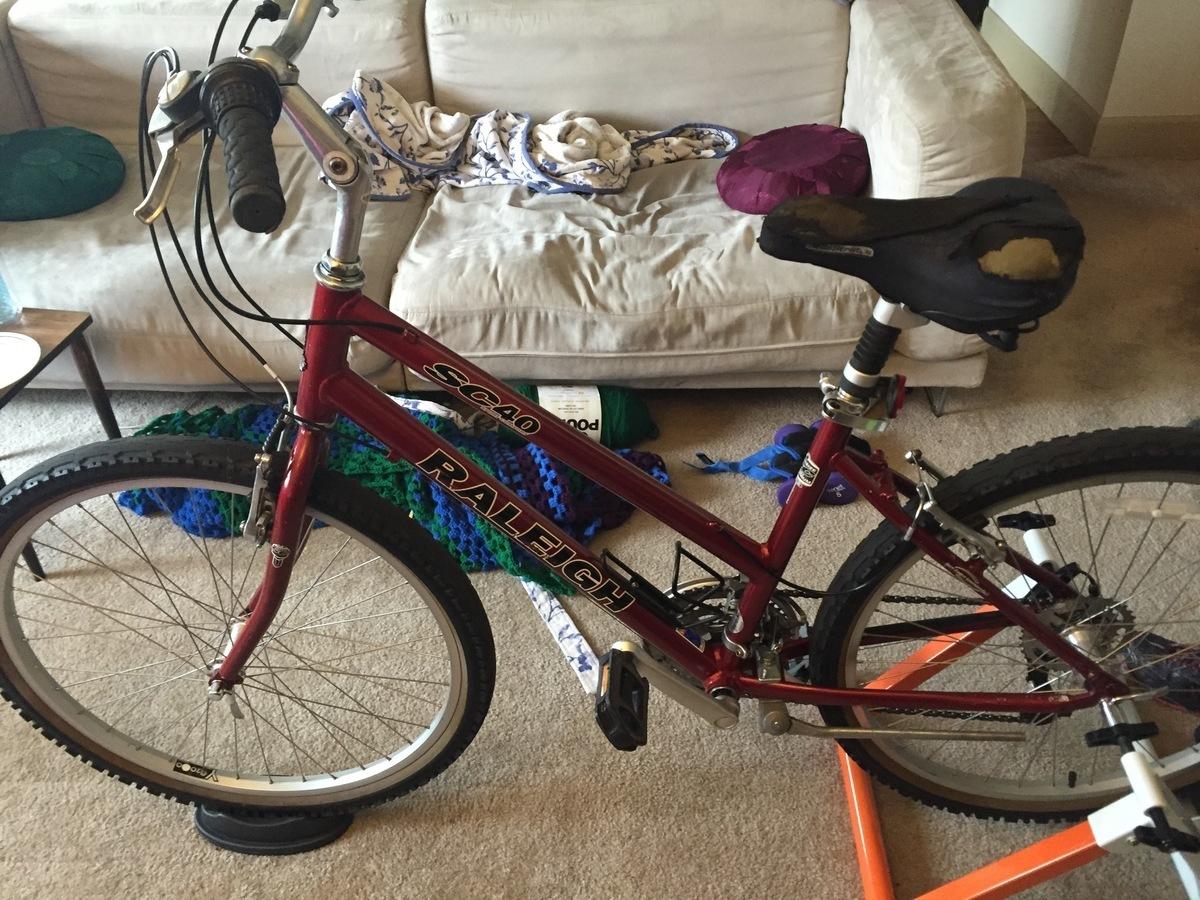 2005 Raleigh SC40 Red