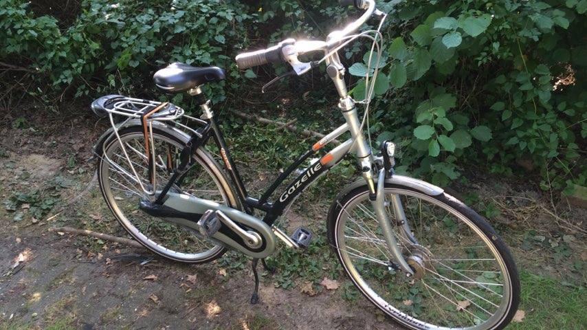 Gazelle Silver or Gray