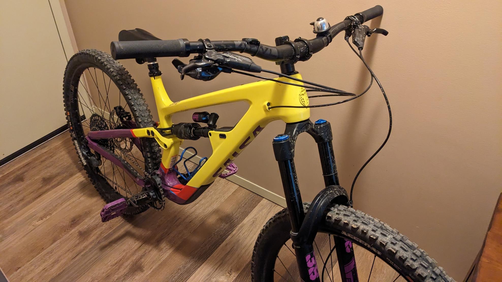 Salsa Cassidy Yellow or Gold and Purple