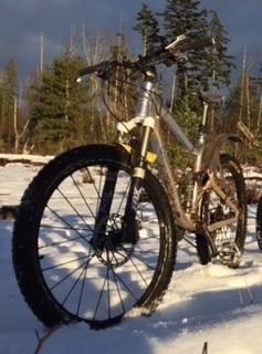 2008 Giant Trance X0 Silver or Gray