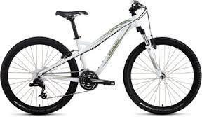 2010 Specialized White and Green