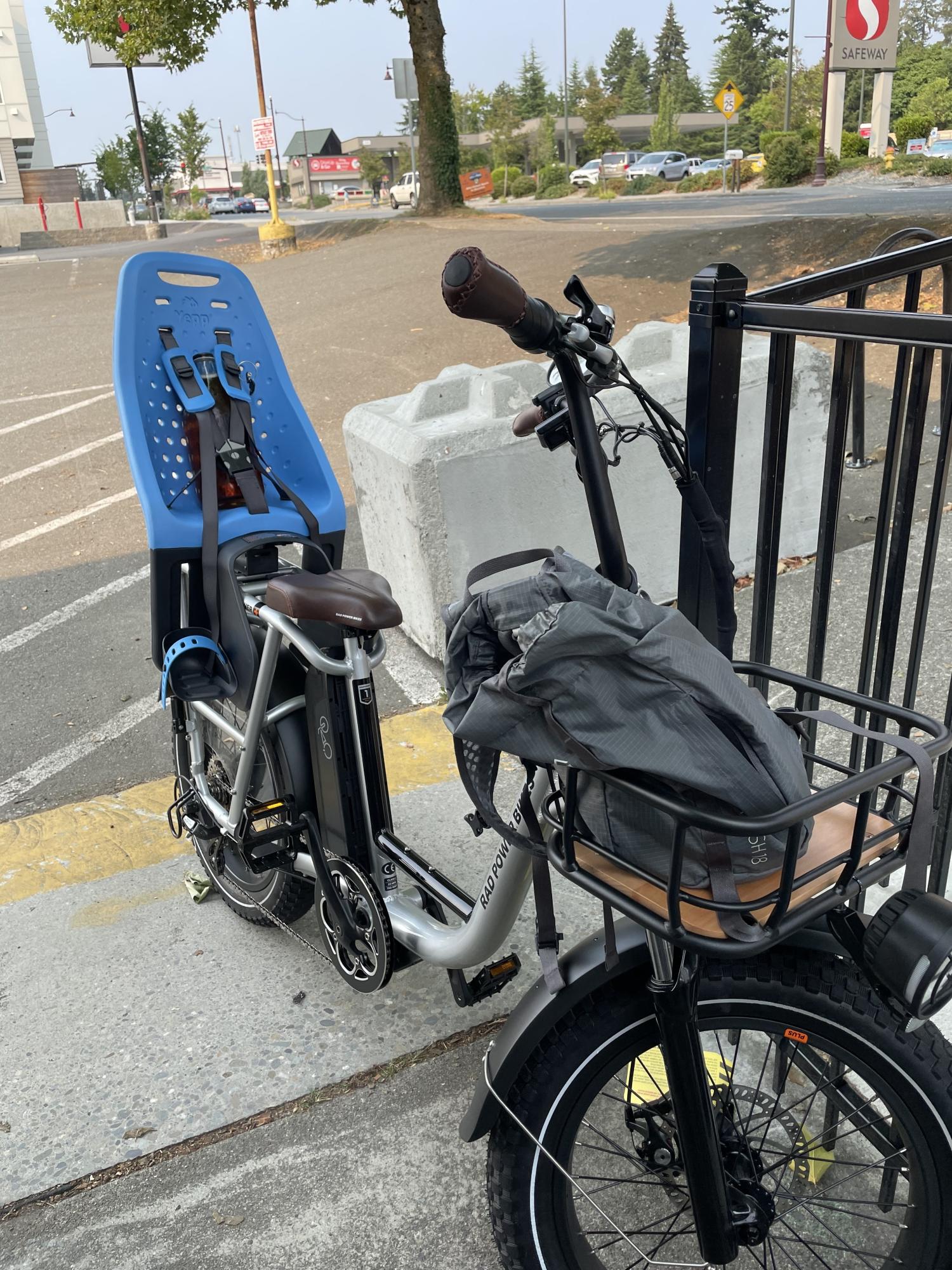 2021 Rad Power Bikes Rad Runner Plus Silver, gray or bare metal