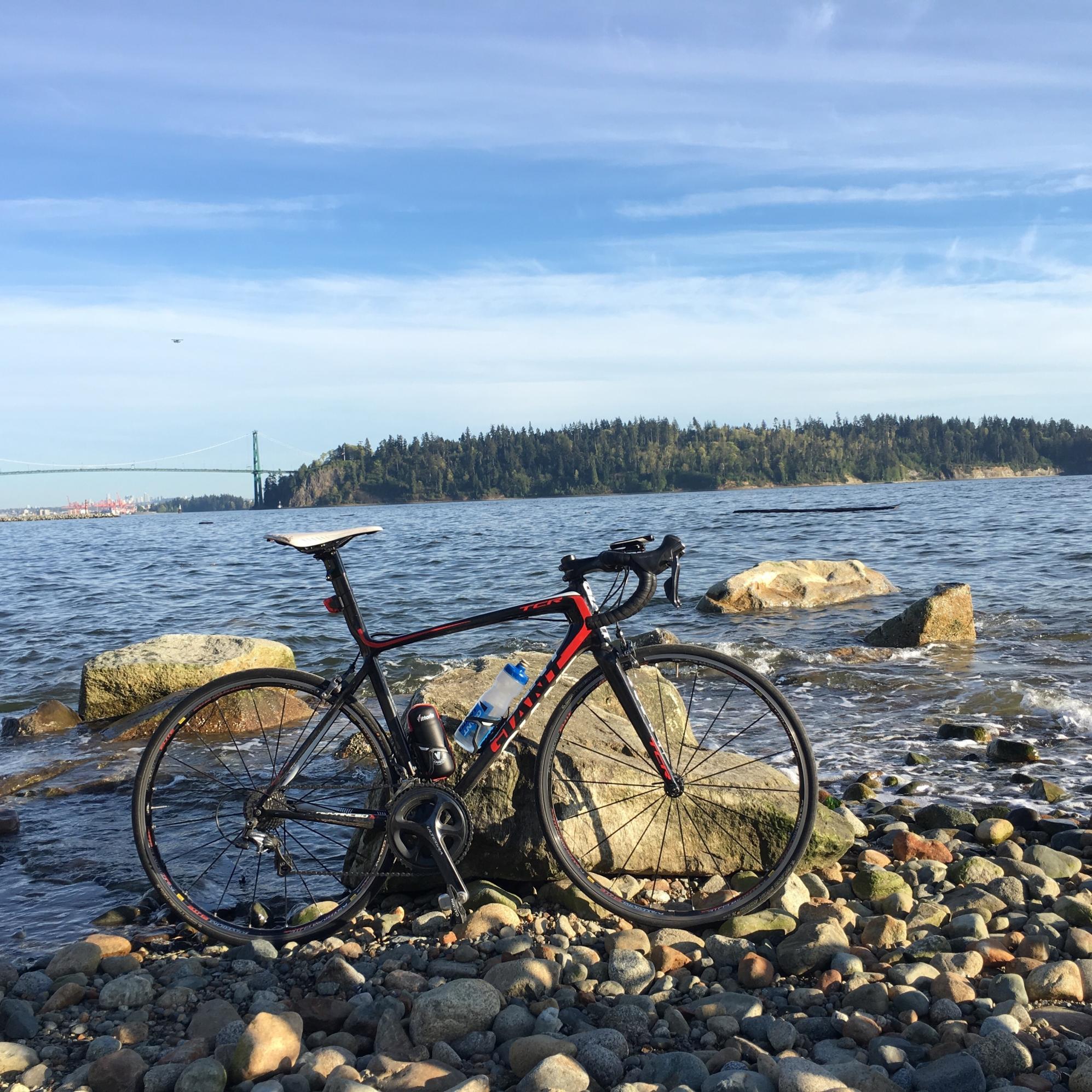 2013 Giant TCR Advanced SL 4 Black and Red