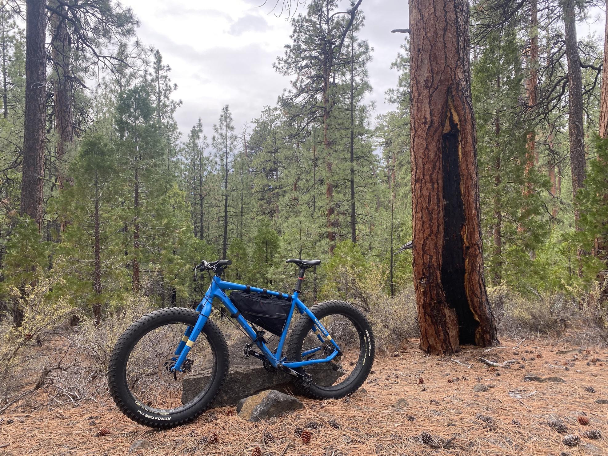 2017 Jamis Roughneck Blue