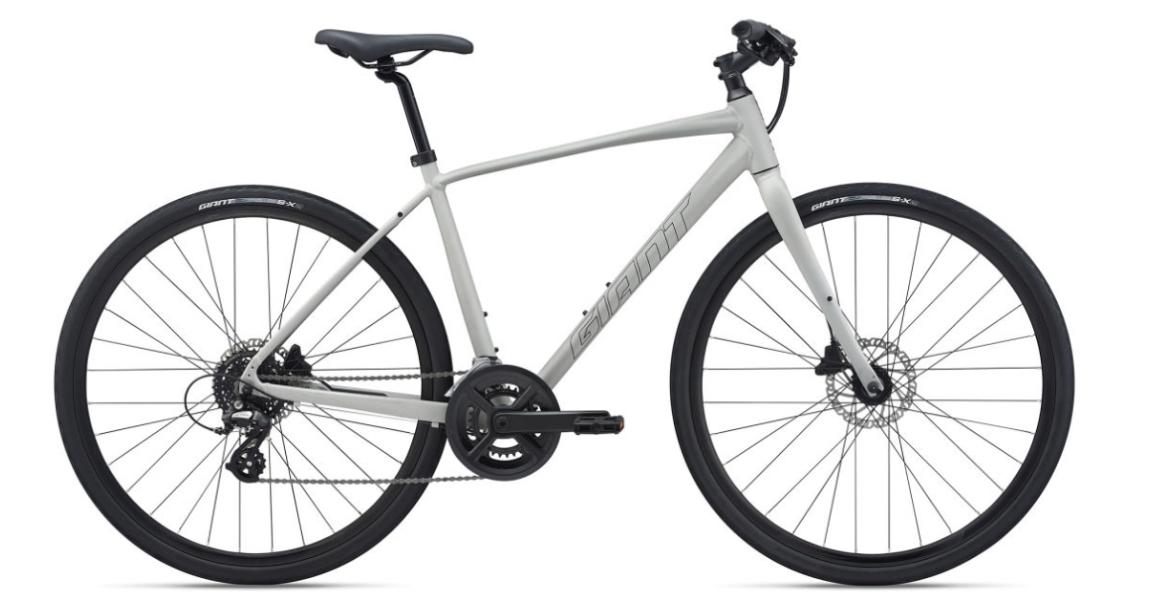 2021 Giant Escape 2 Disc M Silver, gray or bare metal