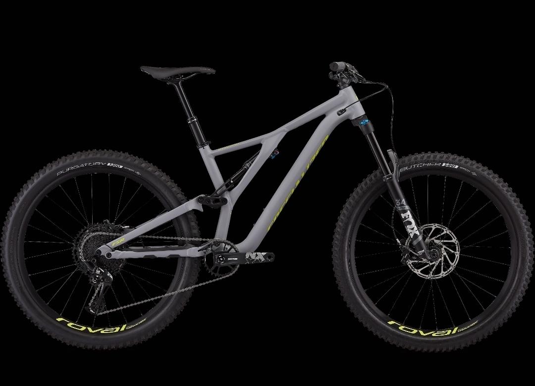 2021 Specialized Stumpjumper Silver, gray or bare metal