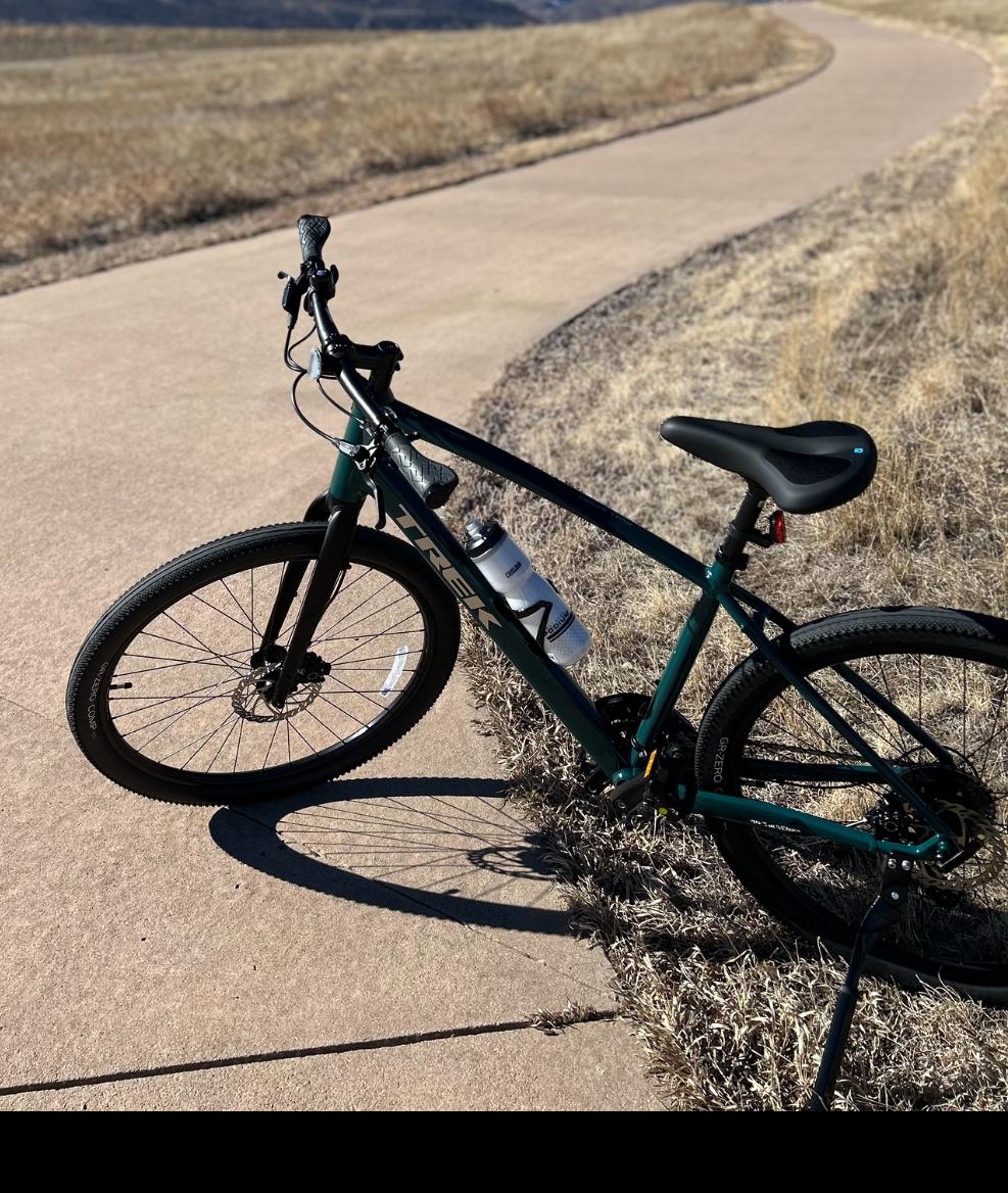 2024 Trek Dual Sport 2 Teal