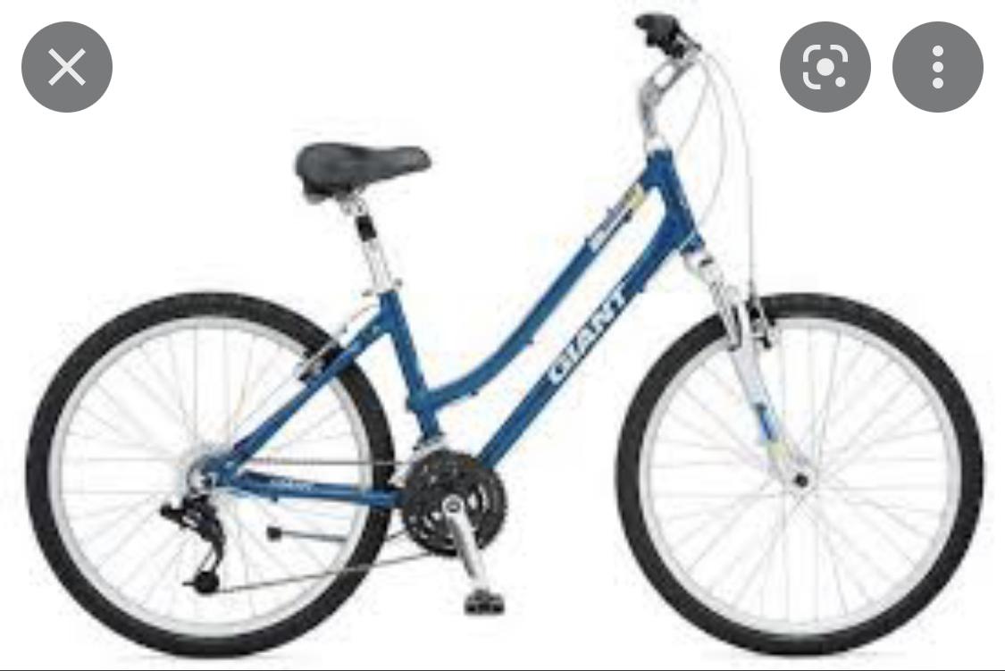 2009 Giant Sedona DX Blue