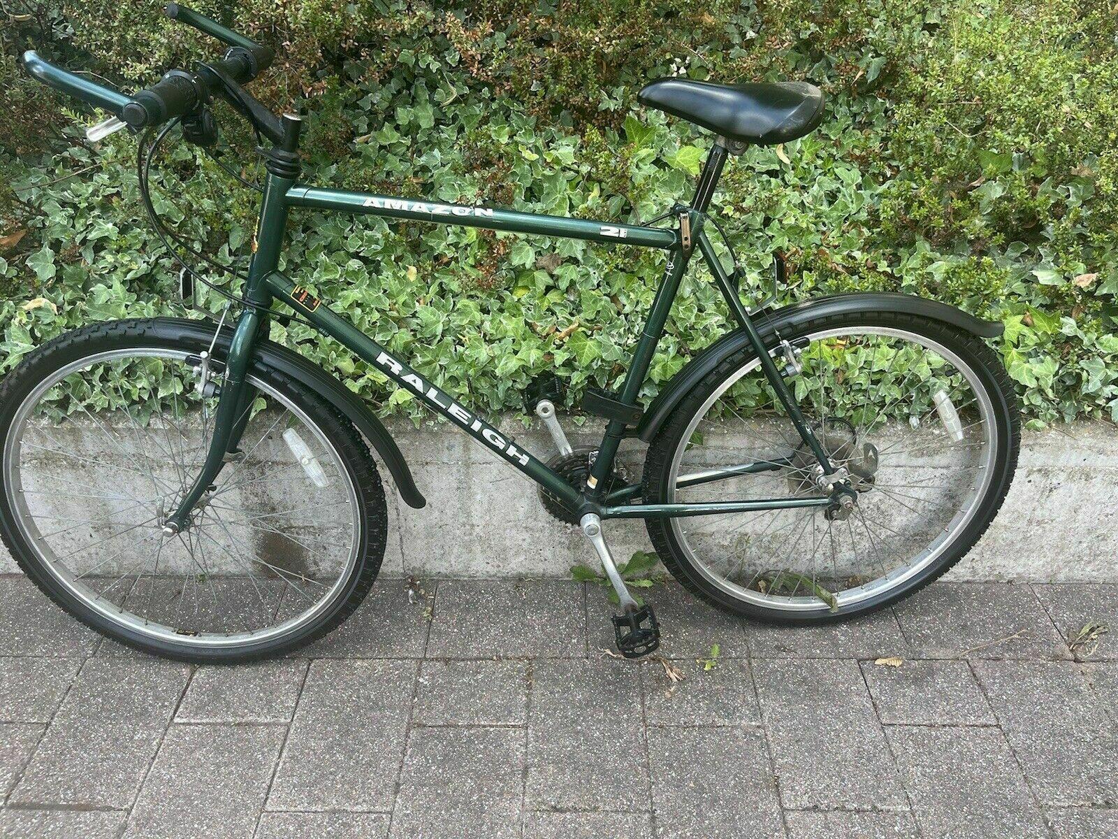 1998 Raleigh Amazon Green