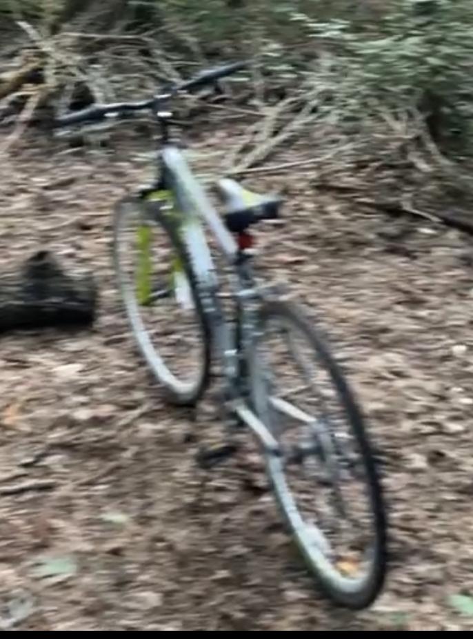 Schwinn GTX1 Silver, gray or bare metal