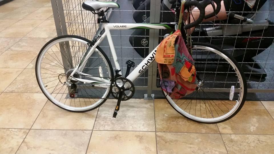 Schwinn Volare White