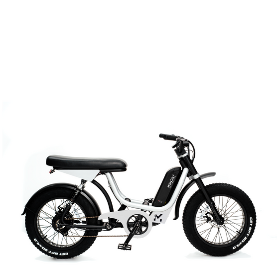 2022 Monday Presidio White