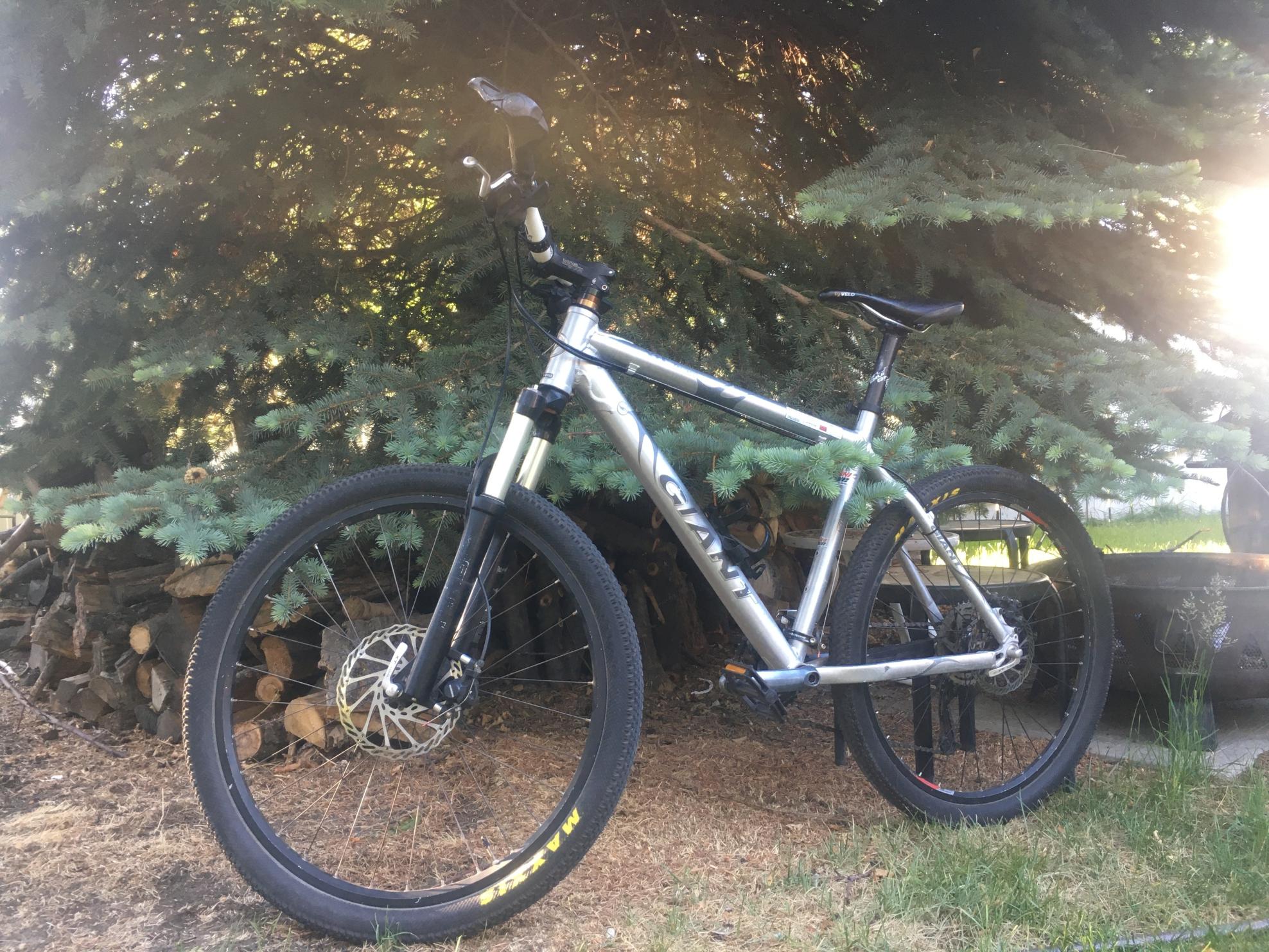 2021 Giant XtC Team Silver, gray or bare metal