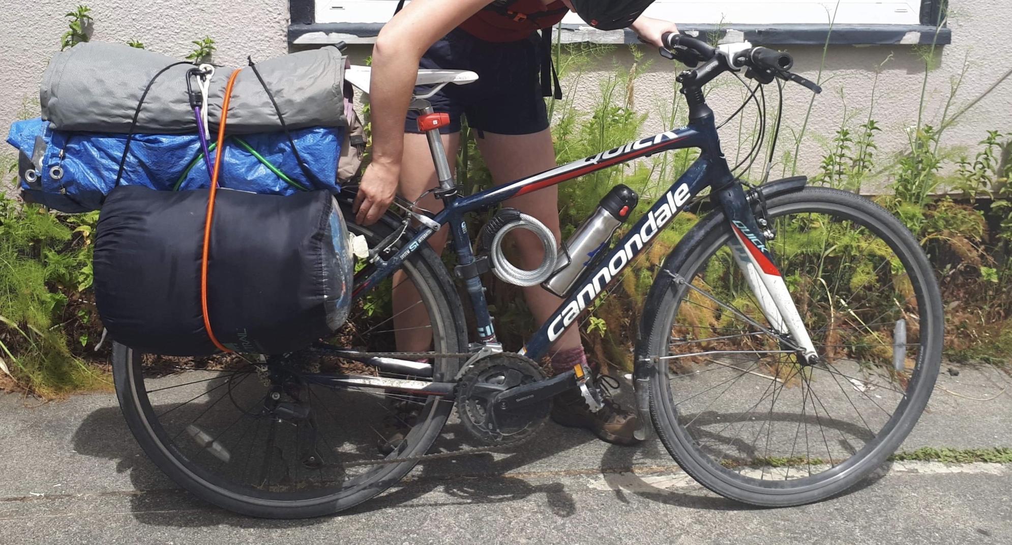 2014 Cannondale Quick Carbon 2 Blue, White, and Red