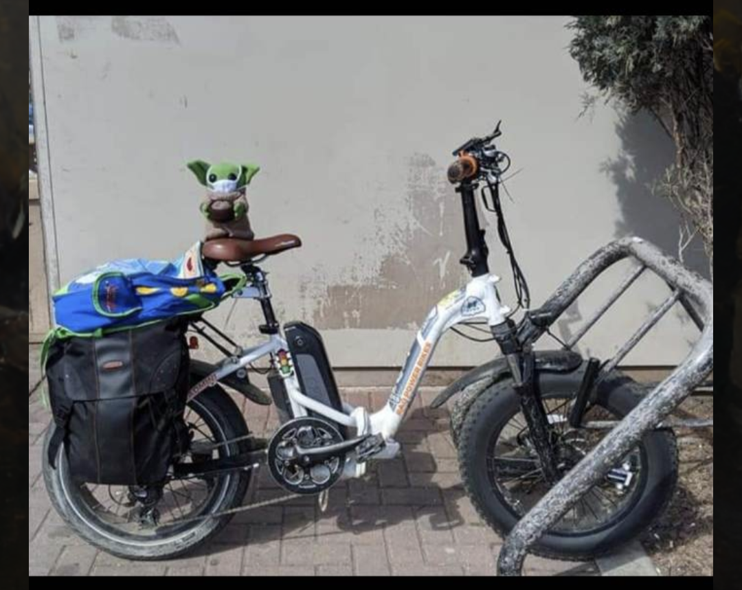 2019 Rad Power Bikes Mini Step Thru White