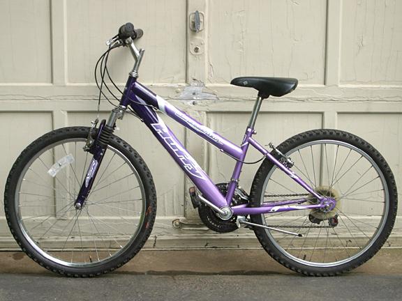 2010 Huffy Purple