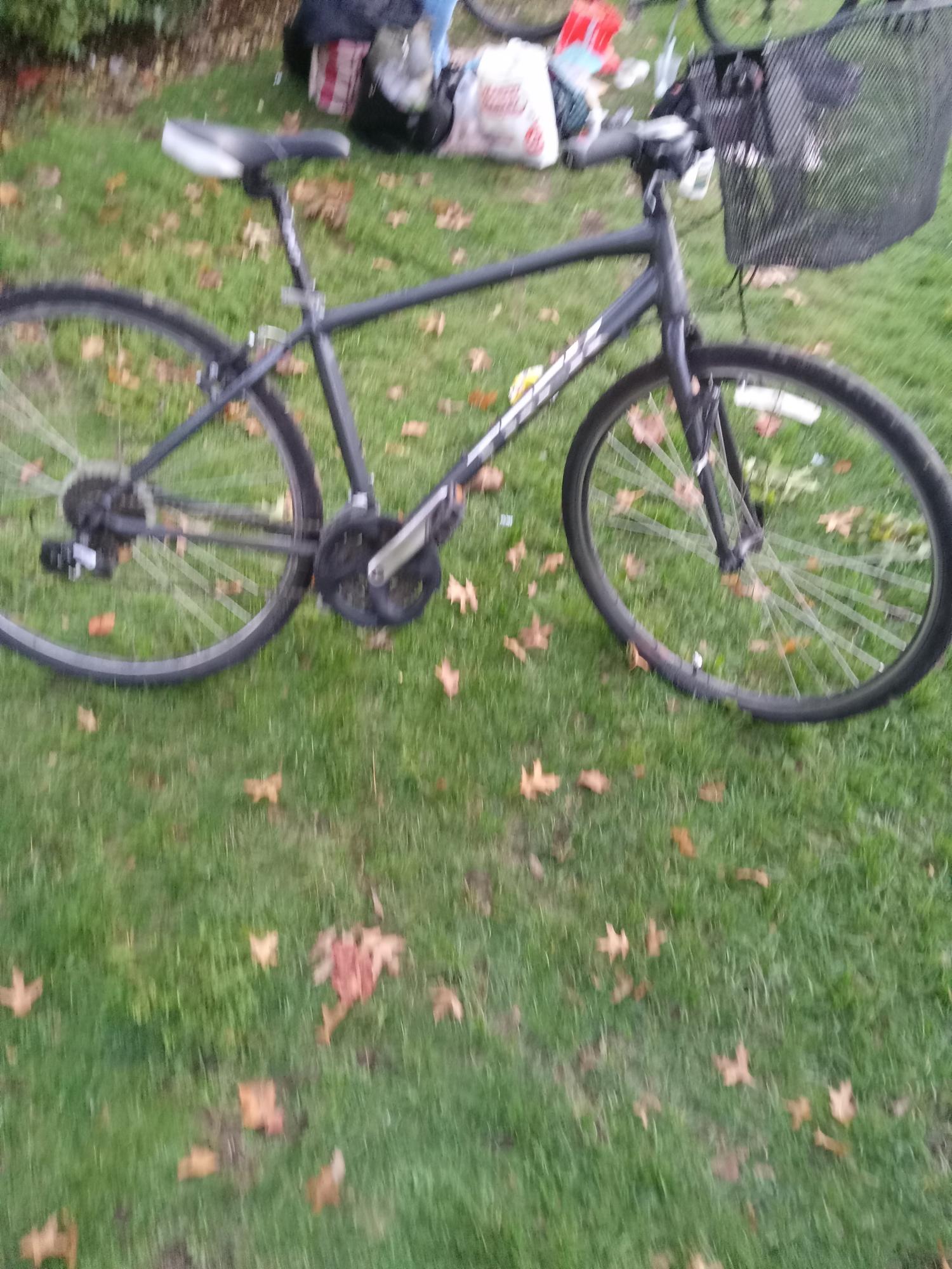 2022 Trek Trek Fx1 Silver, gray or bare metal