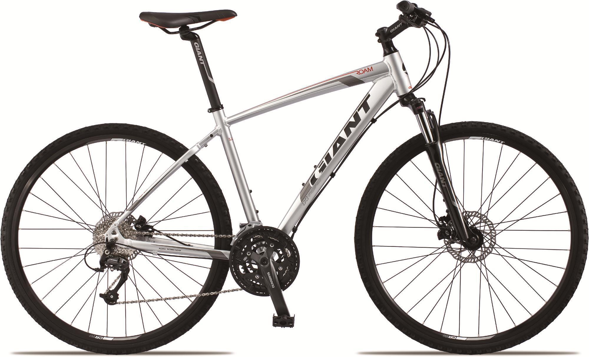 2013 Giant Roam 2  Silver or Gray