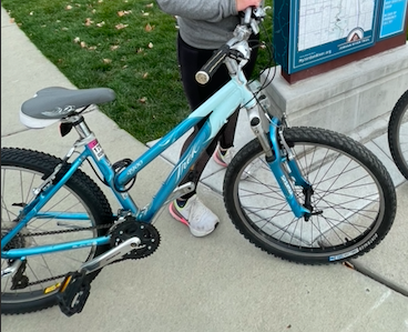 Schwinn Trek 3900 Blue