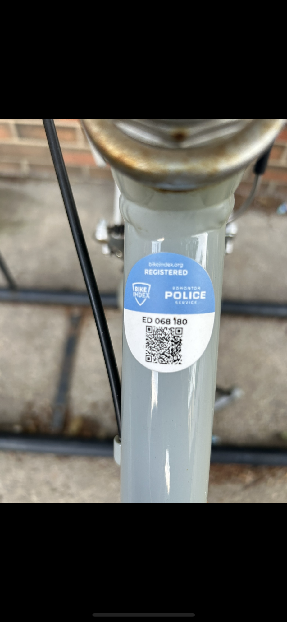 2011 Trek Allant WSD Green