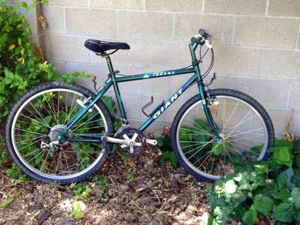 1993 Giant Iguana Green