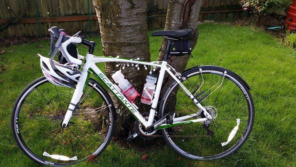 2014 Scattante W680 White