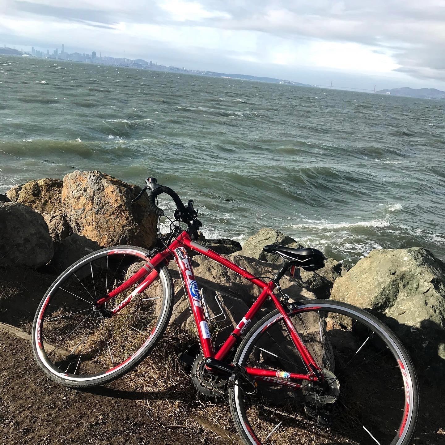 2017 Fuji Finest 2.3 Red