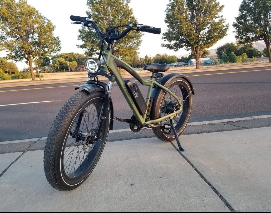2021 Rad Power Bikes Rad Rover 5 Green