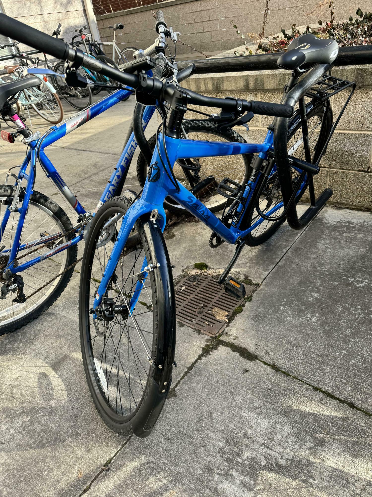 Salsa Journeyer 2.1 FB70 Blue