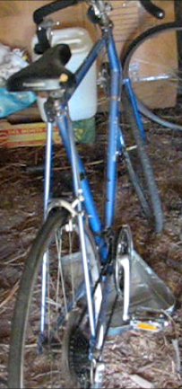 Panasonic 10-speed road (Sport 500?) Purple