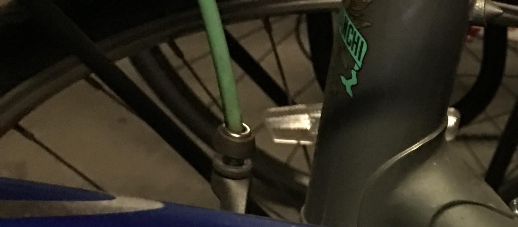 Bianchi Silver or Gray and Green