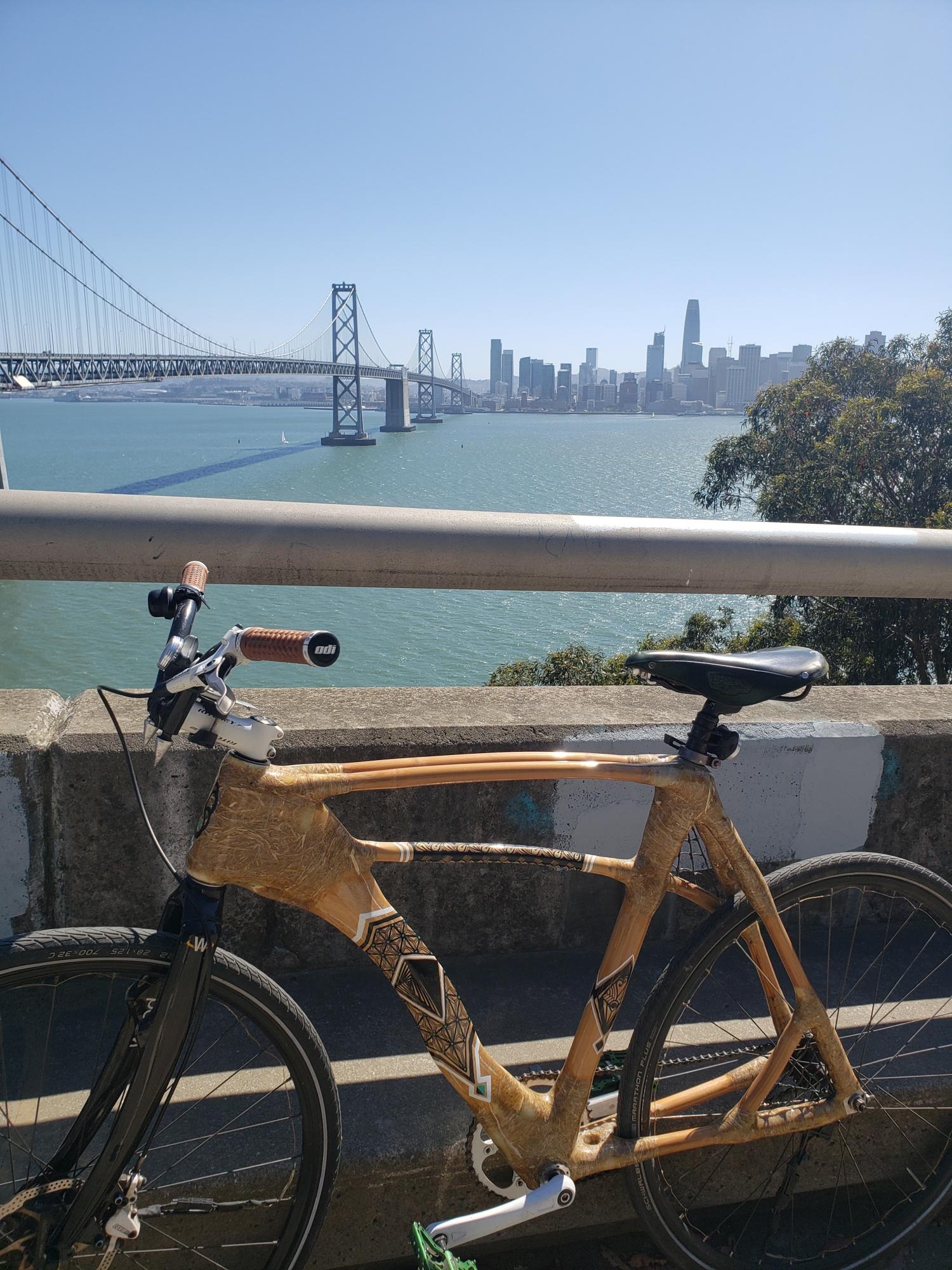 2011 Custom made bamboo bike Bamboo Yellow or Gold, Black, and Green