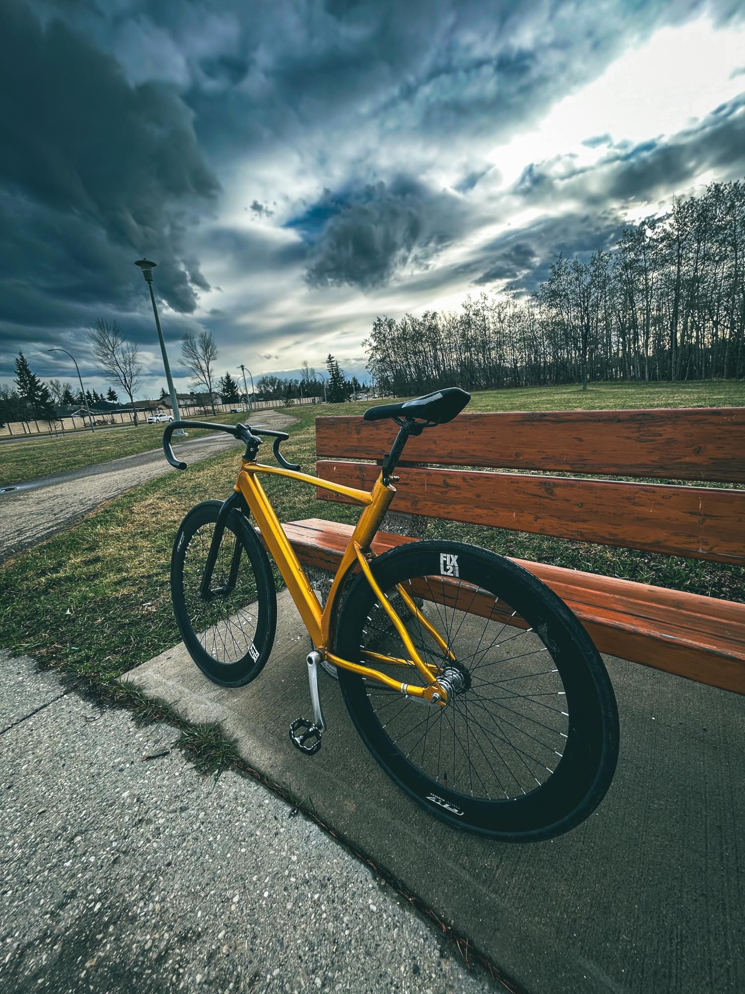 2022 Imported Fixie Yellow or Gold