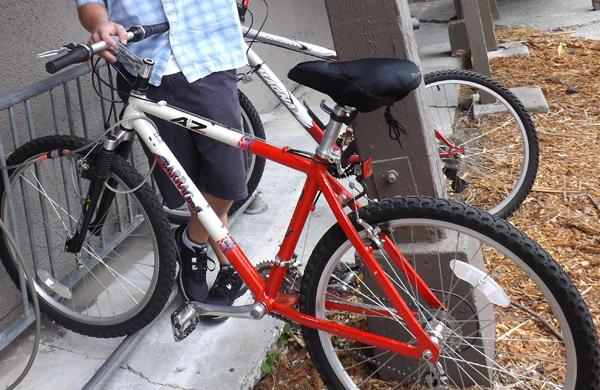 Barracuda A2Z  Black