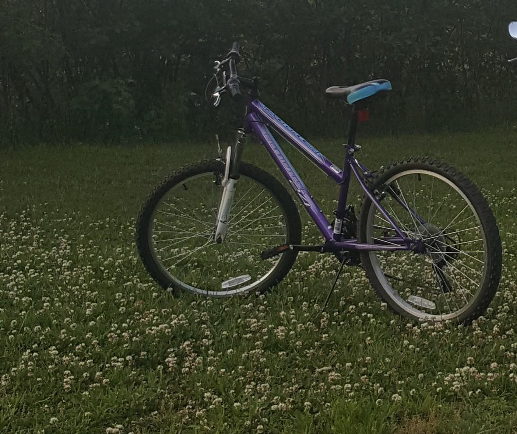 2016 Roadmaster Women's bike Purple