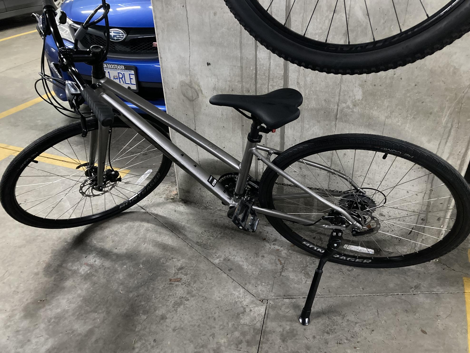 Trek FX 1 Stagger Disc Silver, gray or bare metal