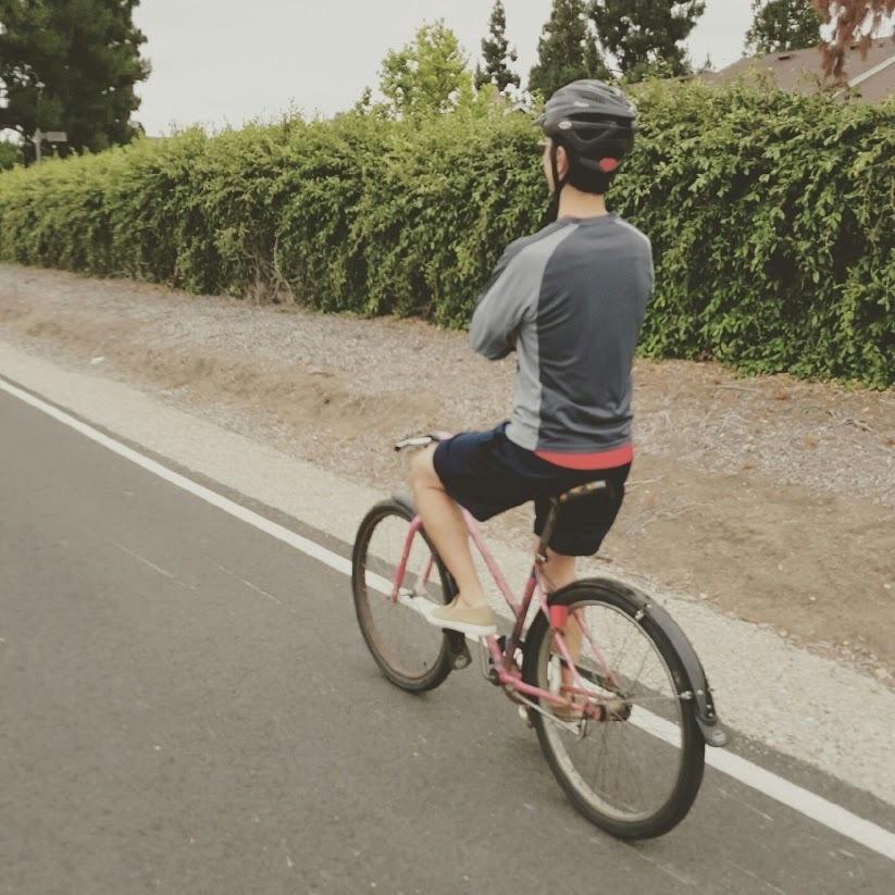 Schwinn 70's/80's Women's Standard Pink