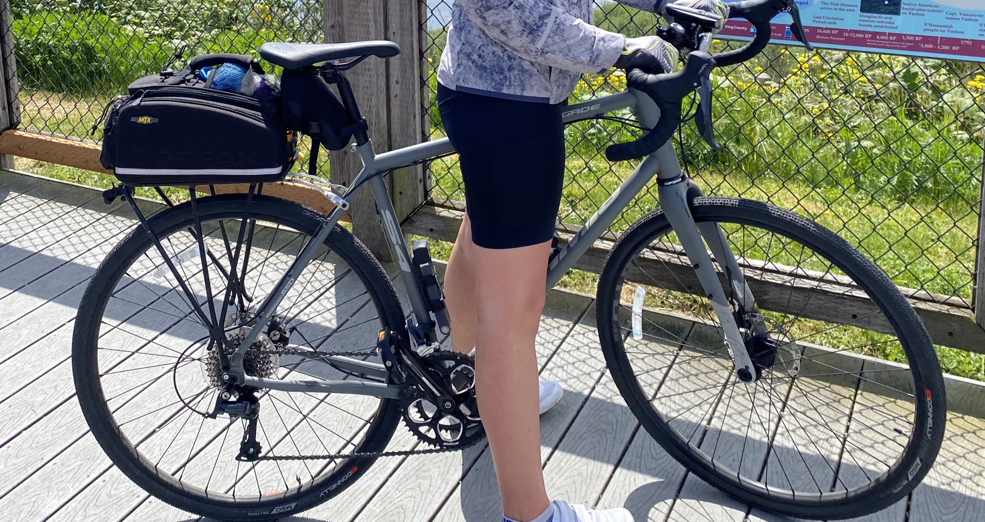 2021 Jamis Quest Silver, gray or bare metal