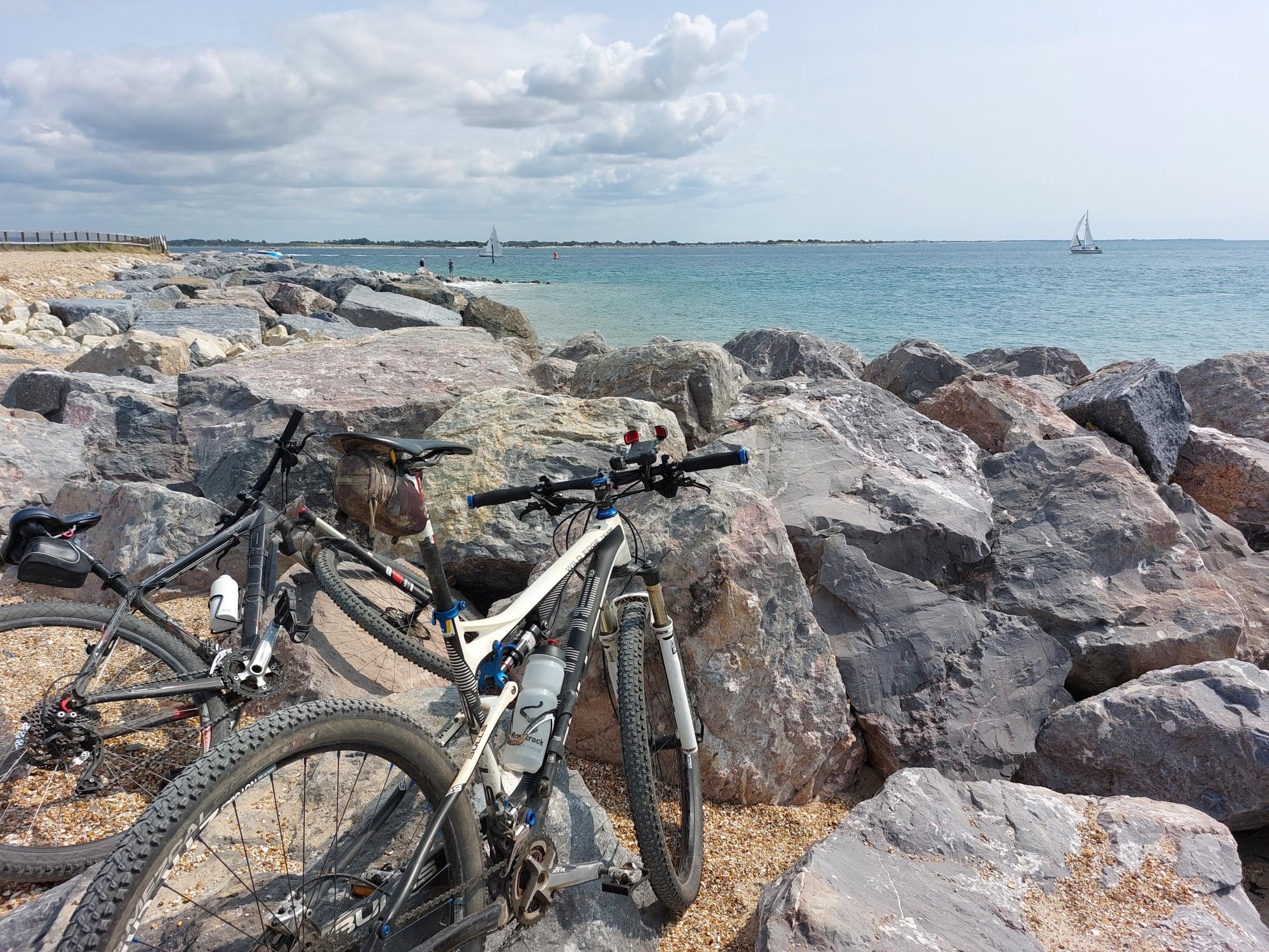 2024 Cube Cube 29er Black