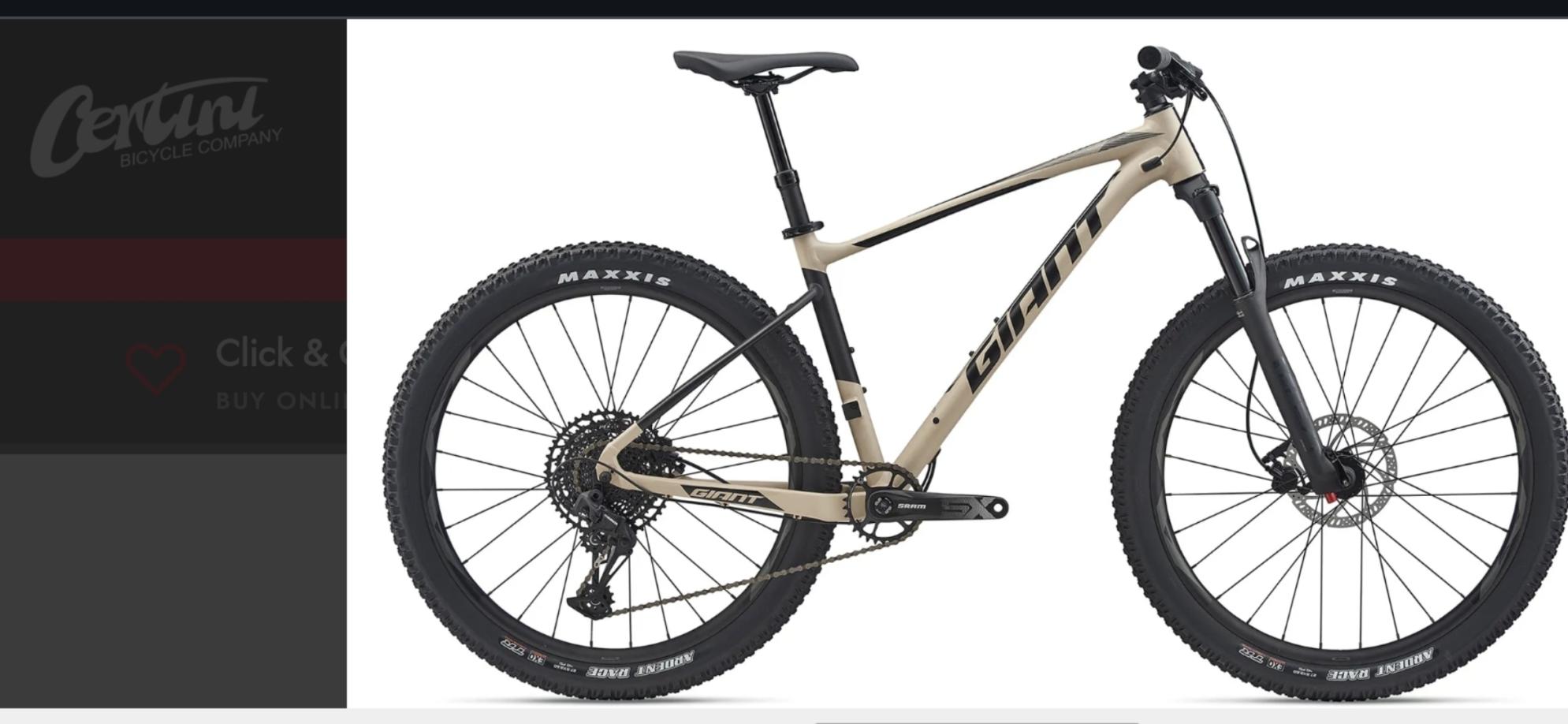 2020 Giant Roam Yellow or Gold and Black