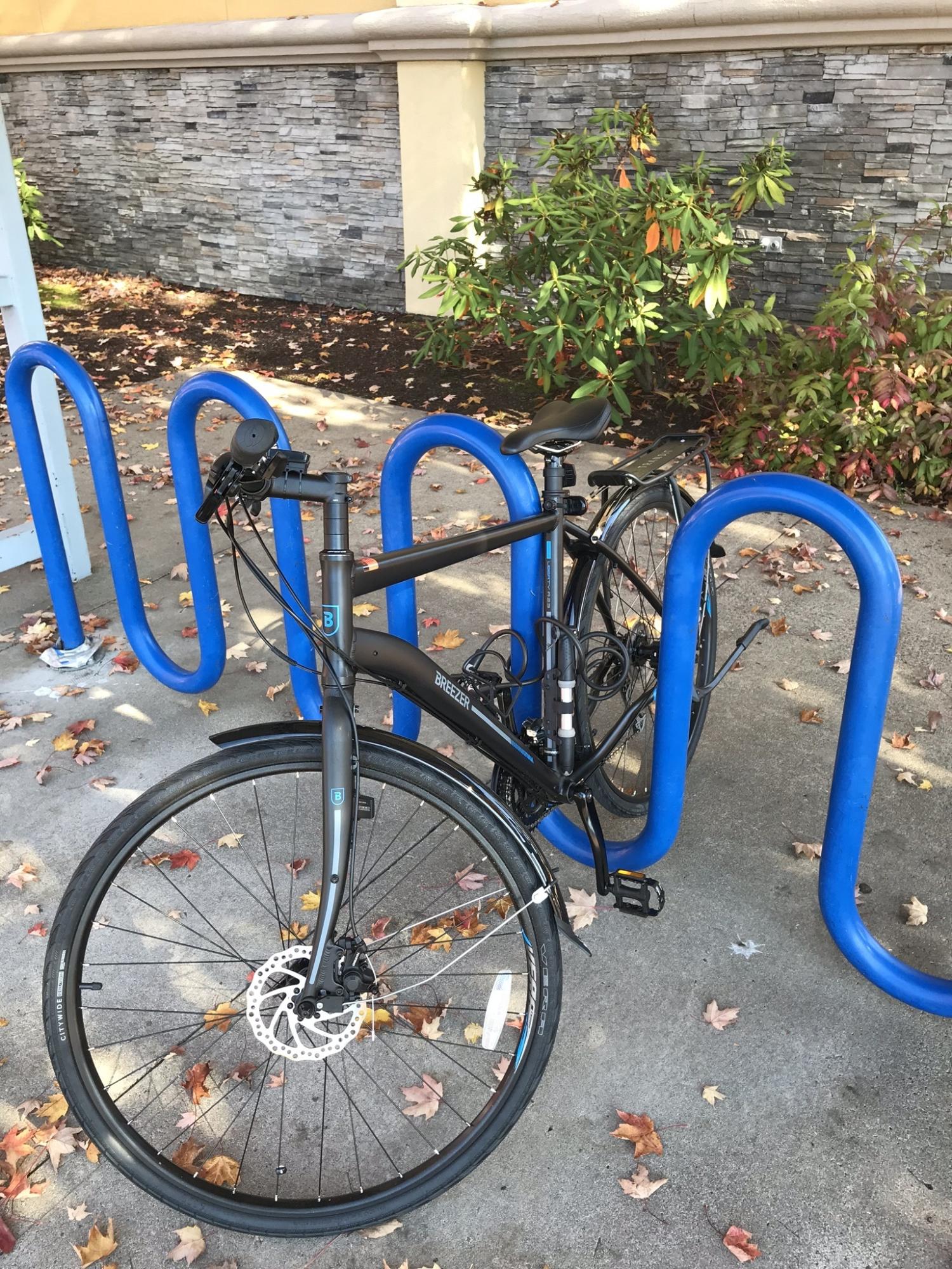 2018 Breezer Liberty r2.3 Black