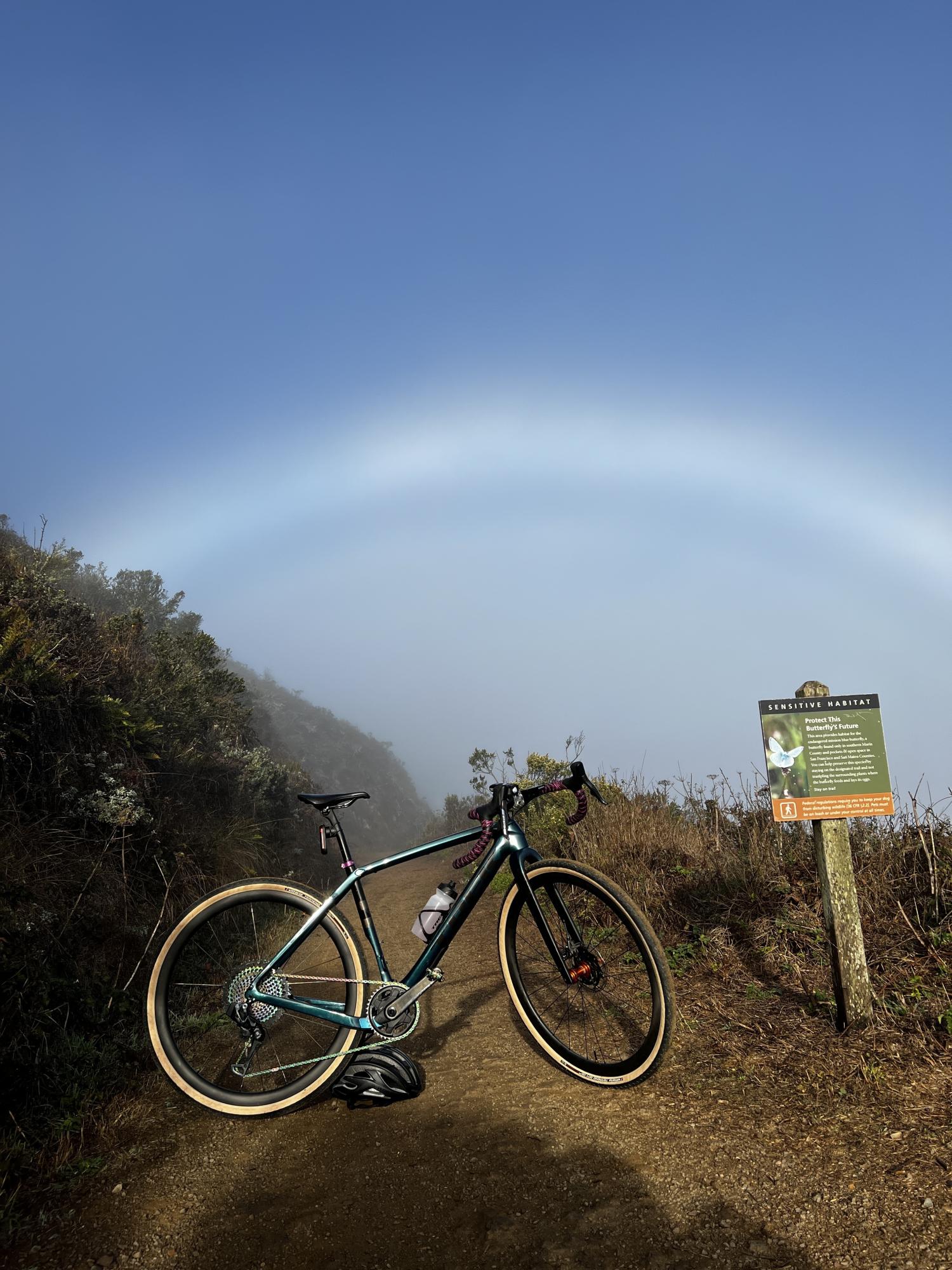 2022 Trek Checkpoint Blue