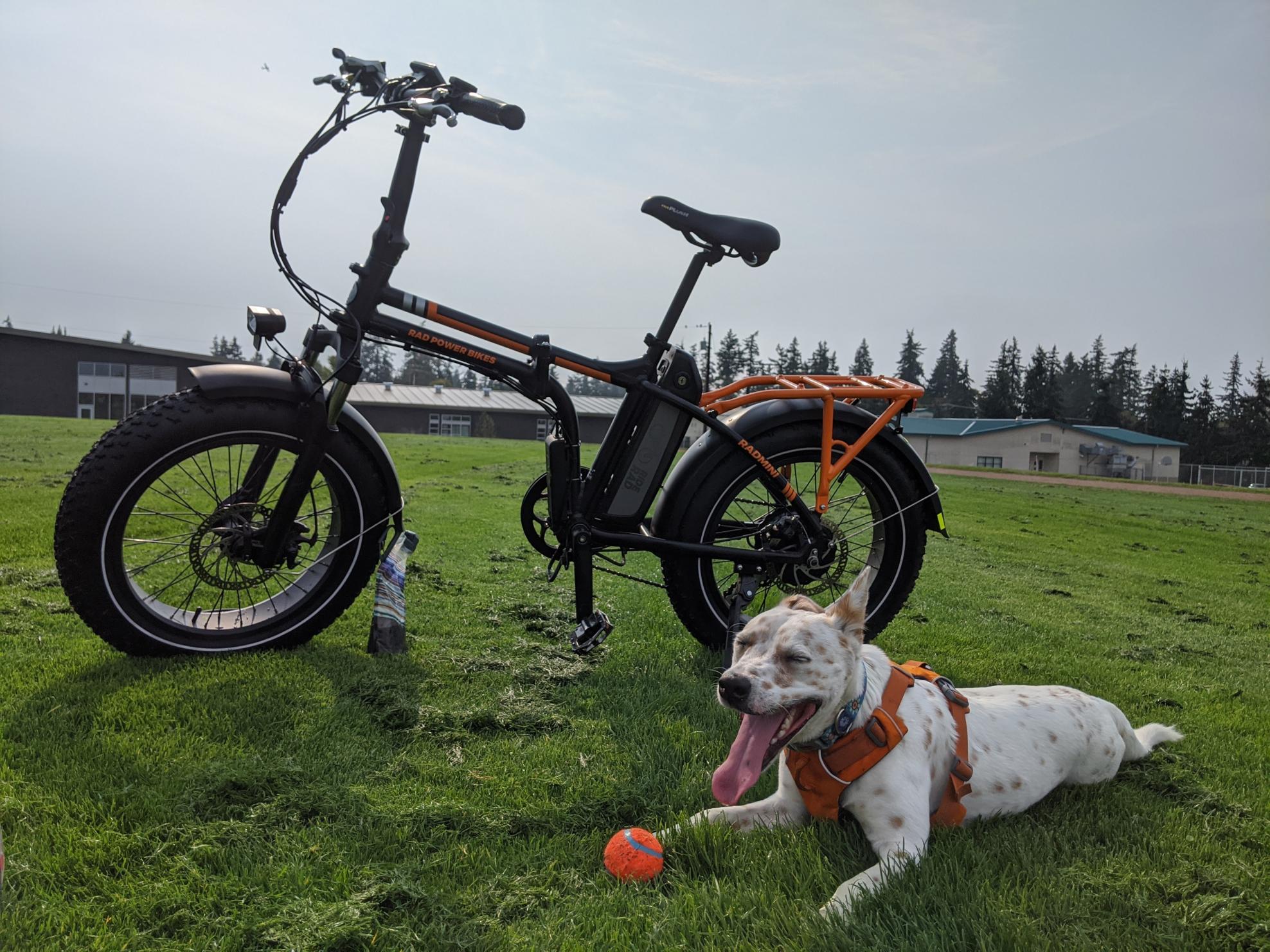 2019 Rad Power Bikes Rad Mini Black and Orange