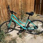 Specialized Alibi Teal
