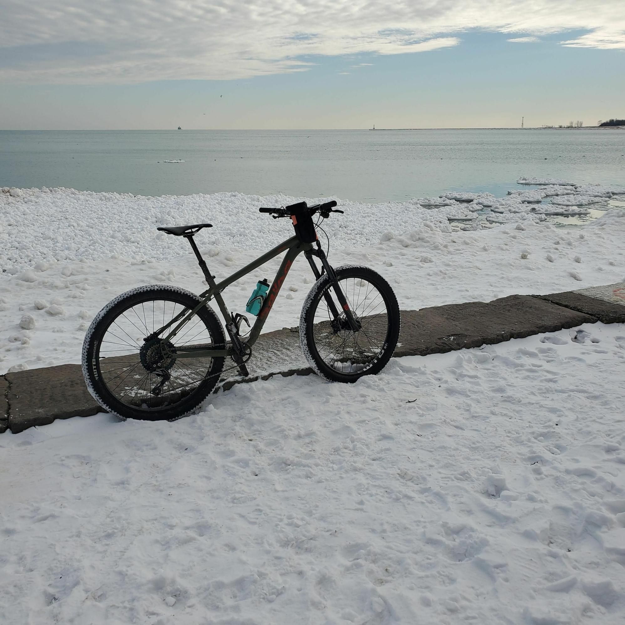 2018 Salsa Timberjack Silver, gray or bare metal