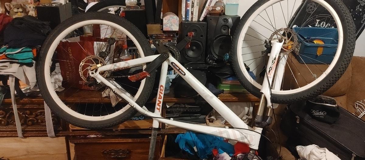 2024 Giant Brass White