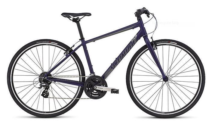 2010 Specialized Blue