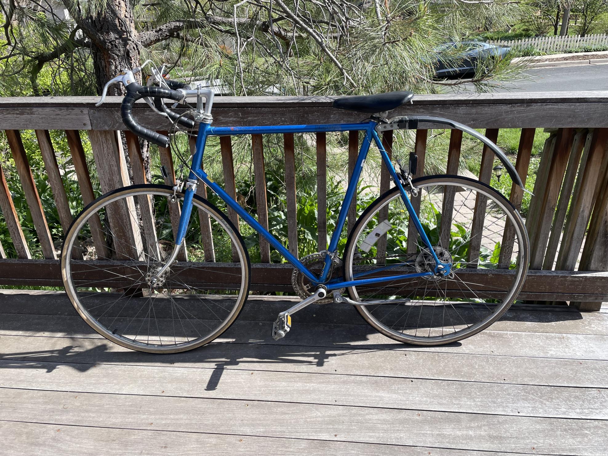 Schwinn Blue