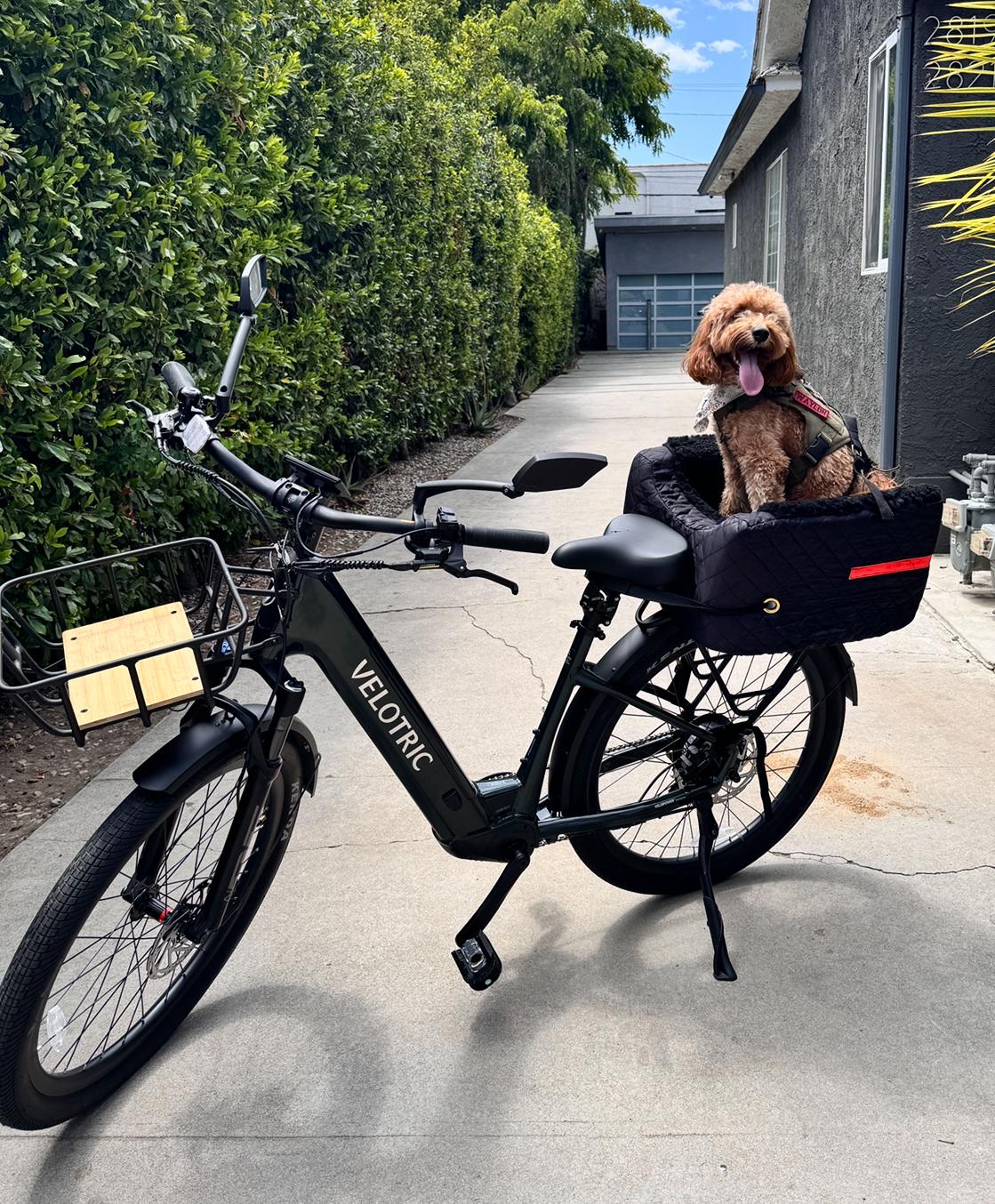 2024 Velotric Discover 2 Green