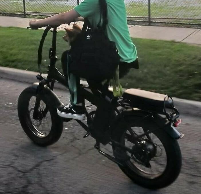 2021 Rattan LM 750W Black